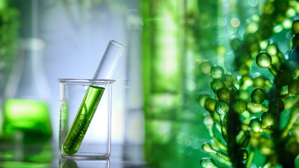 Cassava Bio Ethanol Plant Konsortium Transonic