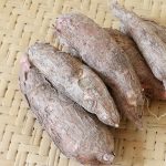 Cassava (Ubi Kayu)