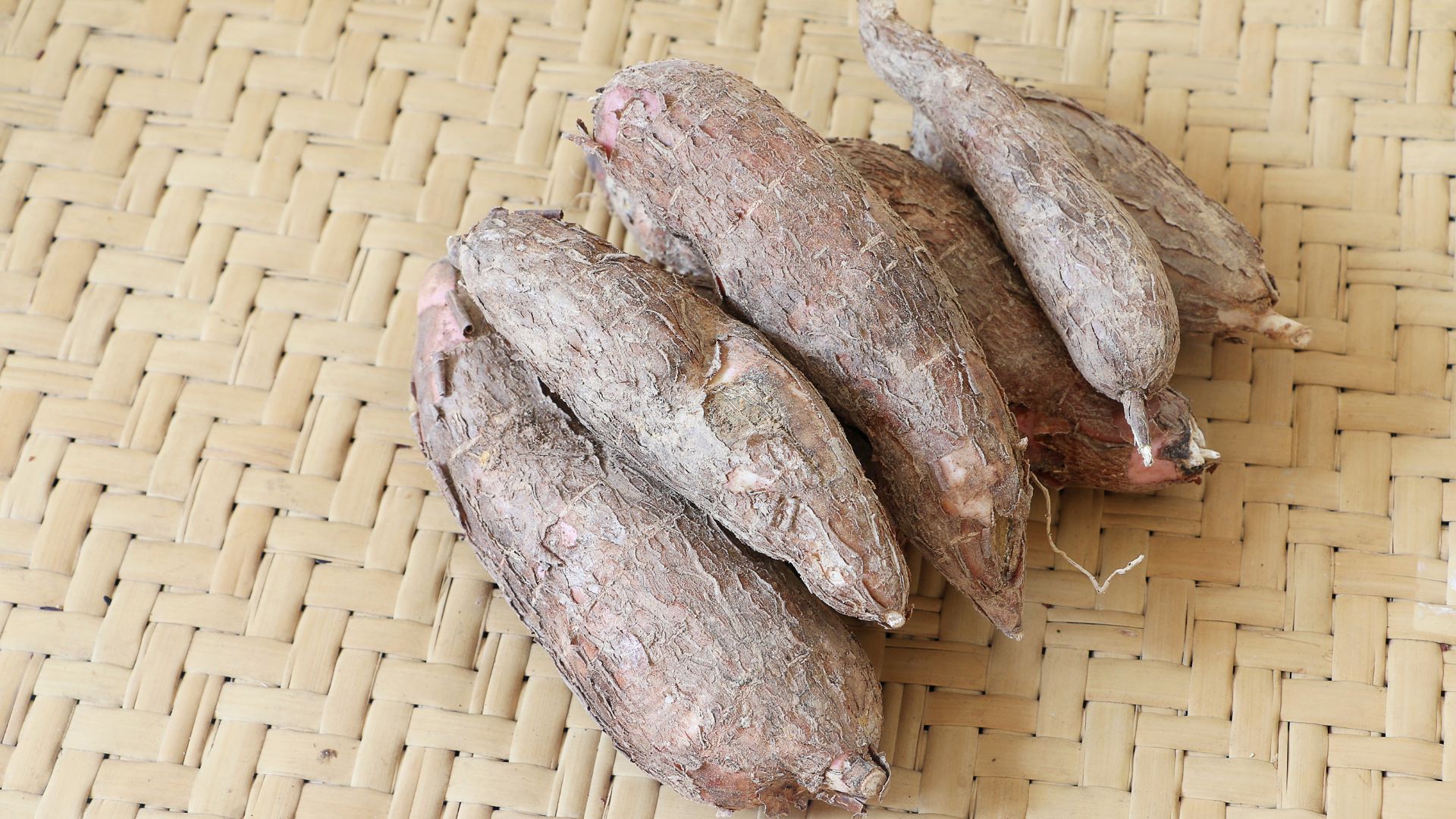 Cassava (Ubi Kayu)