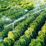 Water Irrigation system